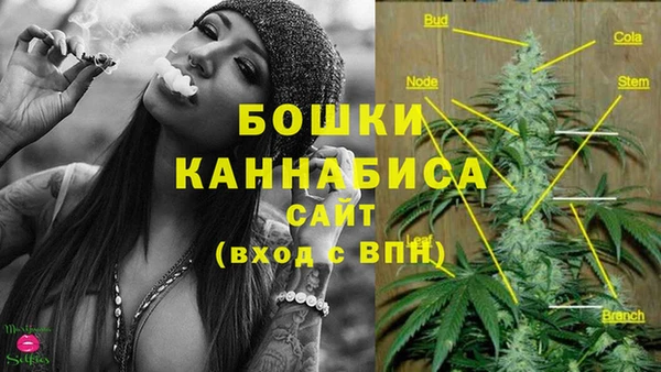 MESCALINE Алзамай