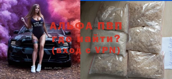 гашик Алексеевка