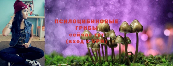 MESCALINE Алзамай