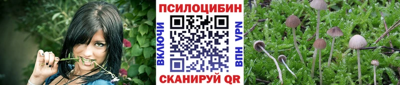 Галлюциногенные грибы Psilocybe  мориарти Telegram  Амурск  KRAKEN ссылка 
